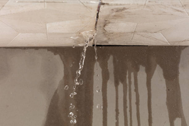 Professional Structural Drying technician working in Forreston, TX
